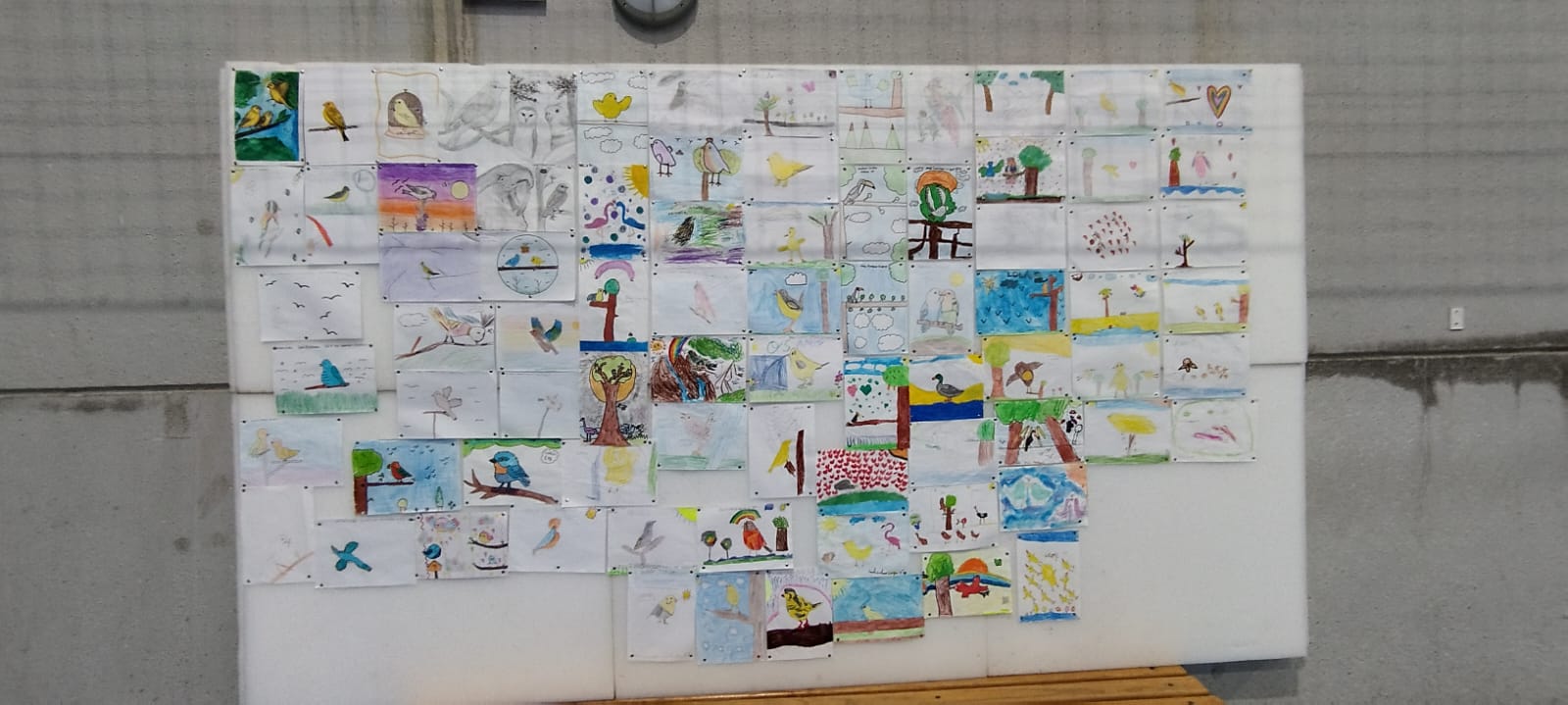 Mural con dibujos infantiles de pájaros realizados durante las actividades de la asociación